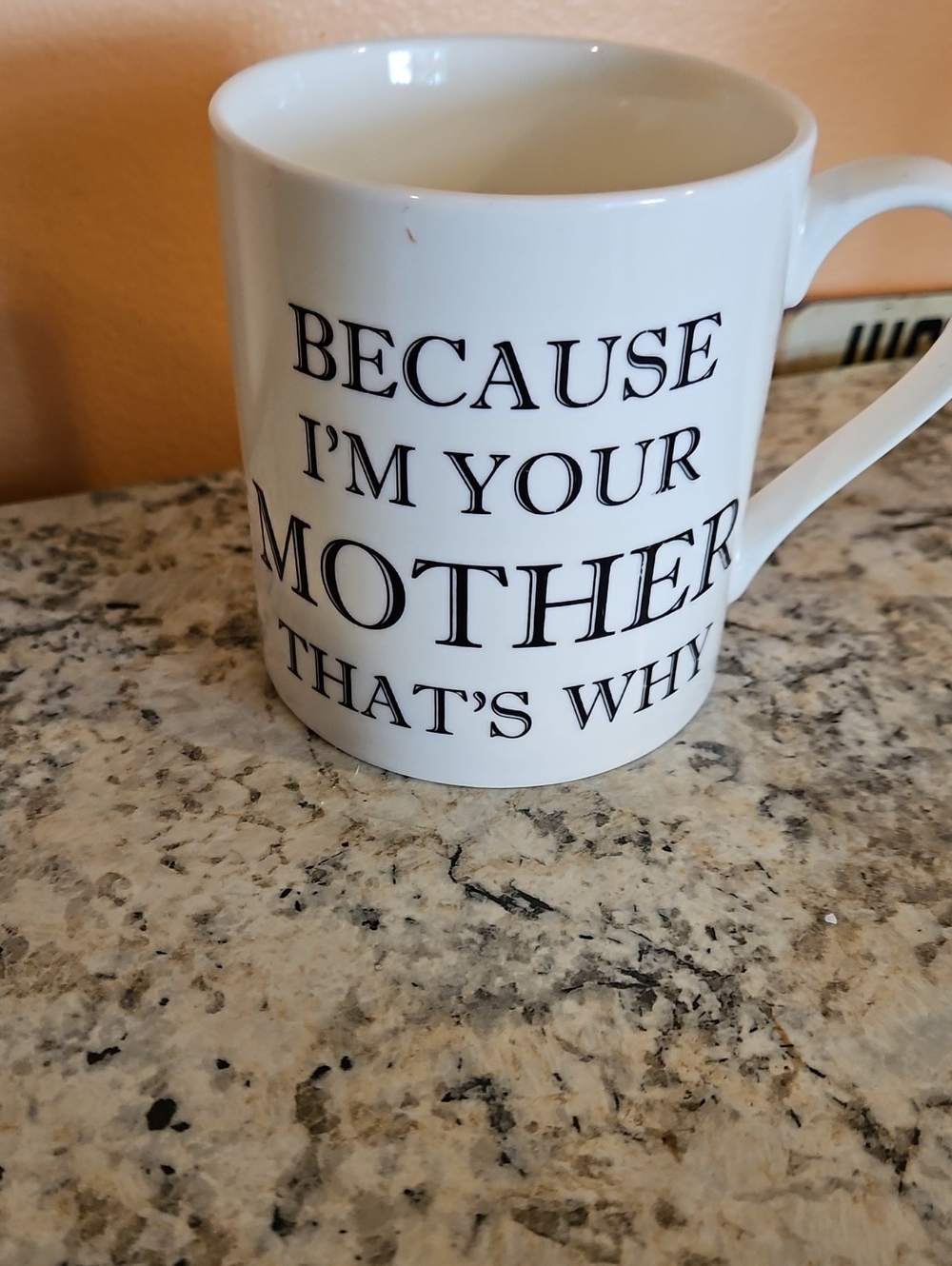 Home Essentials White Ceramic Mug with Black Text "Because I'm Your Mother"